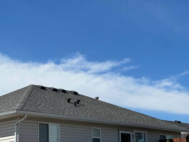 Roof Insulation in Electra, TX